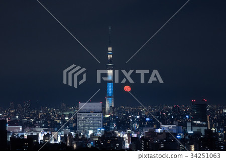 【Tokyo Sky Tree】 From the Moon, Bunkyo Civic Center 34251063