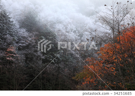 Cloud frost at the foot of Tateshina mountain Cloud frost at the foot of Tateshina mountain 34251685