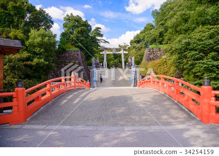 [Kofu City, Yamanashi Prefecture] Takeda Shrine Shinbashi 34254159