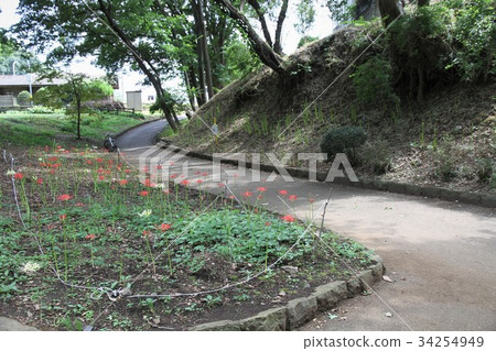 神奈川縣Zama City Crabsawa Park 神奈川縣Zama City Crabsawa Park 34254949