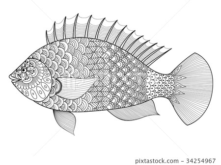 Fish for coloring book 34254967