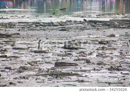 Dirty muddy beach showing a dump site 34255026