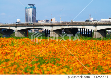 [Make up soon] Sekido Bridge and Harusagik 34255461