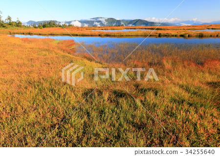 Oze和Ayamedaira以及Kagetsuruyama和Hiragatake池塘的景色 34255640