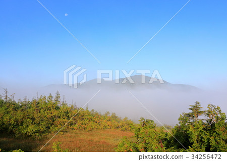 Iris and the moon seen from the interval between Iris Hira and Hatotomeshima Iris and the moon seen from the interval between Iris Hira and Hatotomeshima 34256472