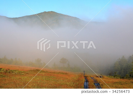 A mountain above the clouds seen from the pigeons waiting-Ayame Hirama A mountain above the clouds seen from the pigeons waiting-Ayame Hirama 34256473