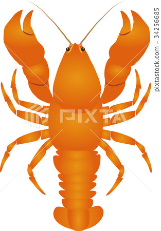 crayfish crayfish 34256685