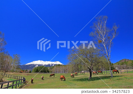 Kiso Ma和Ontakayama 34257823