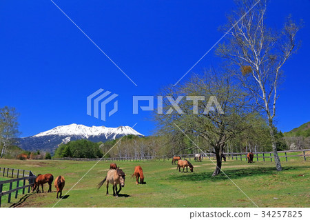 Kiso Ma和Ontakayama 34257825