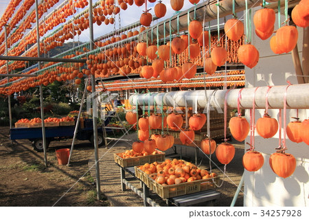 幹柿子飯 34257928