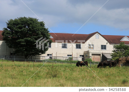 羅漢高原 34258588