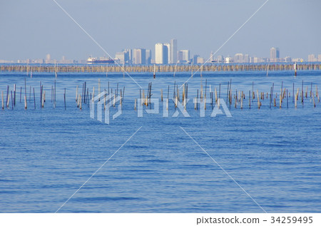 Makuhari Distant Court Makuhari Distant Court 34259495