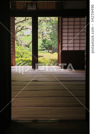 The garden seen from the parlor 34259496