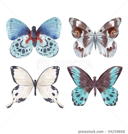 Watercolor butterflies set Watercolor butterflies set 34259608