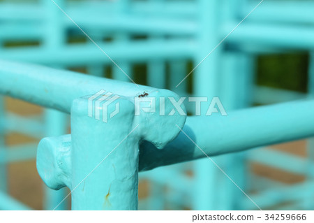 Jungle gym ants 34259666