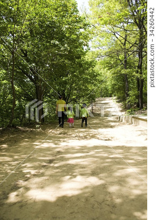 Dullegil, Seomak Mountain, Paju City, Gyeonggi-do 34260442