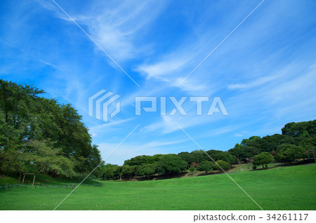 根岸森林公園 根岸森林公園 34261117