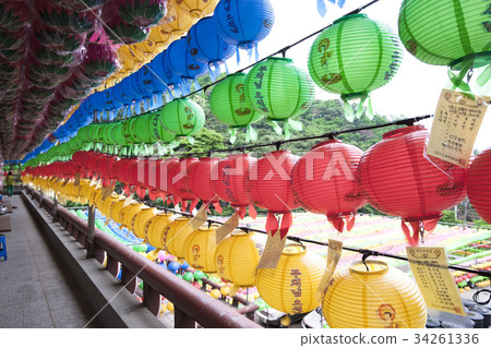 佛陀的生日 34261336