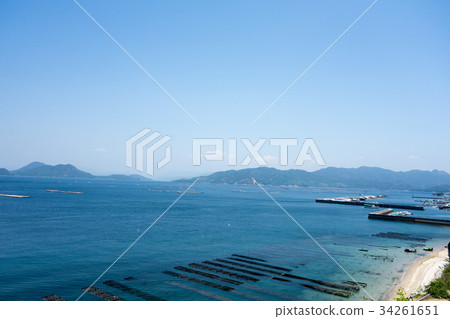 Peeling oysters (culture of persimmon) 1 of Hiroshima Edajima 34261651