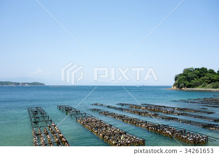 廣島江島的剝牡蠣（柿子的文化）3 34261653