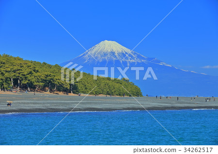 Miho no Matsubara and Mt. Fuji 34262517