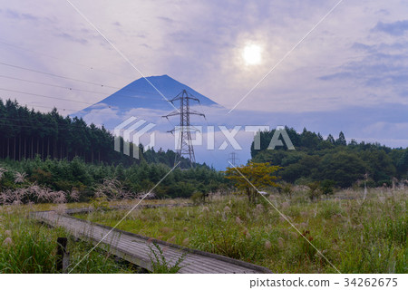[Shizuoka Prefecture] Odanuki Marsh and Mt. Fuji in autumn 34262675