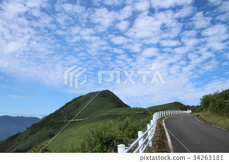 A bottle is a forest road A bottle is a forest road 34263181