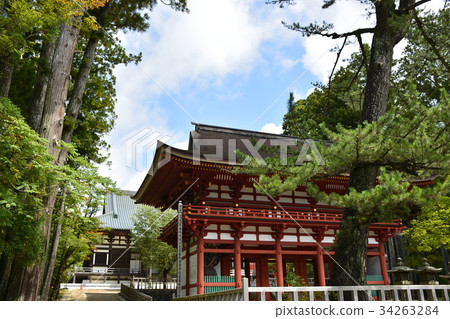 [和歌山縣和歌山縣] Nakamon Danjo Gaya 34263284