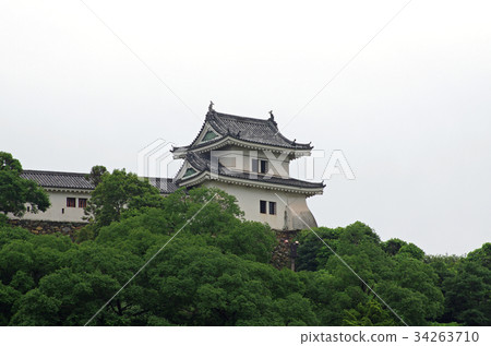 Temple of Wakayama castle 34263710