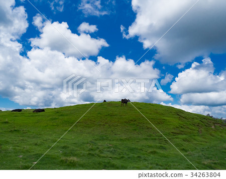 四國卡爾索Gogaki高原 四國卡爾索Gogaki高原 34263804