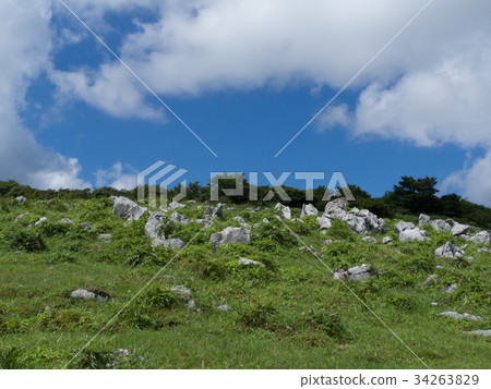 四國喀斯特 四國喀斯特 34263829