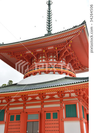 [和歌山縣和歌山縣]內本大東Danjo Gaya 34264506