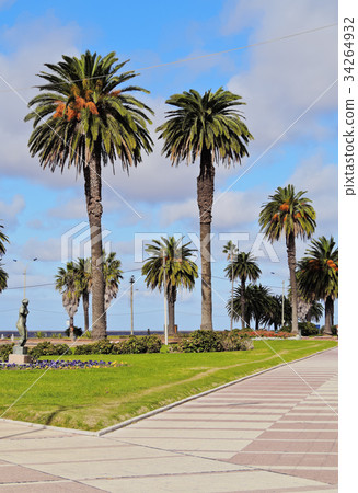 Montevideo 34264932