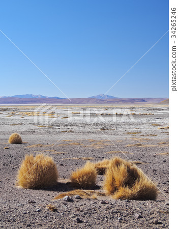 Bolivian Landscape 34265246