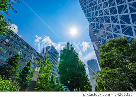 [Tokyo] City landscape 34265335