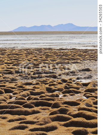 Bolivian Landscape 34265503