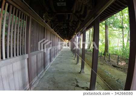 Shinshu Suwa's cultural property Corridor of the Techina Shrine, built by Tachikawa Kazushiro Tomi Building Tachikawa style sculptures are superb 34266080