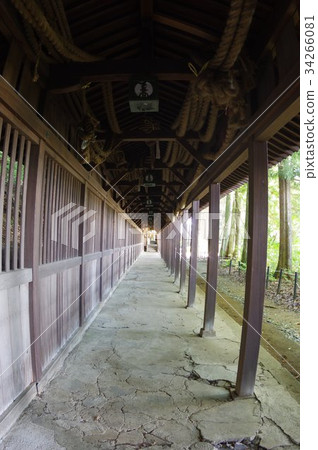 Shinshu Suwa's cultural property Corridor of the Techina Shrine, built by Tachikawa Kazushiro Tomi Building Tachikawa style sculptures are superb 34266081