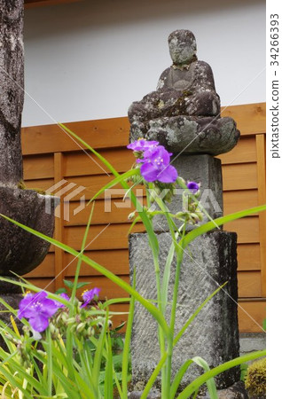 信州的文化遺產石獅守谷的學徒澀谷富士的石佛像（Kanjojo，松島，長野縣木曾） 34266393