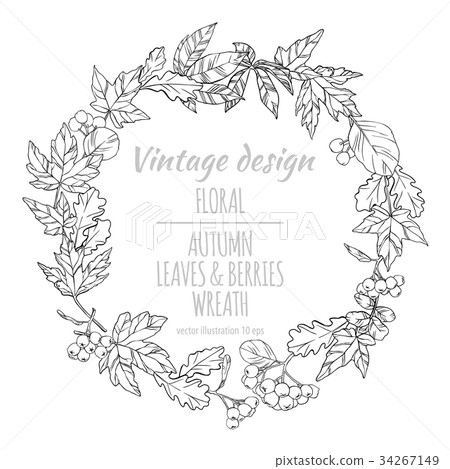 Wreath of autumn leaves and berries.  34267149
