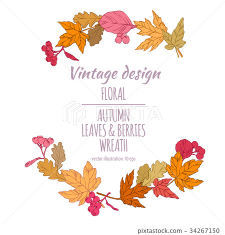 Wreath of autumn leaves and berries. Wreath of autumn leaves and berries. 34267150