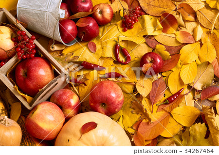 fruits and vegetables on autumn leaves background fruits and vegetables on autumn leaves background 34267464