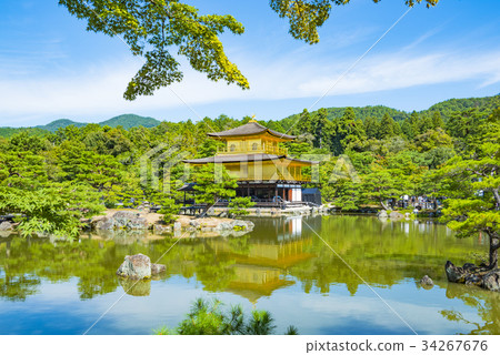 Fresh green Kinkaku-ji 34267676