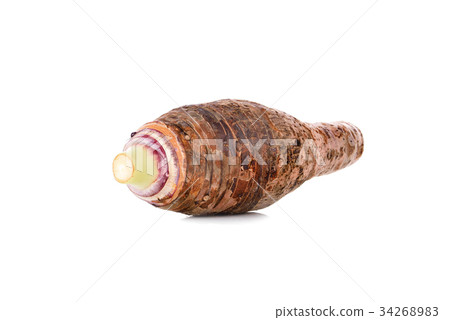 taro roots on white background taro roots on white background 34268983