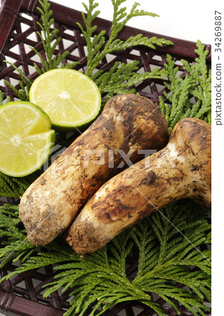Matsutake 34269887