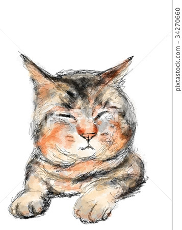 貓的插圖 貓的插圖 34270660