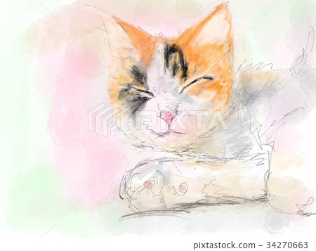 Cat Illustration Cat Illustration 34270663