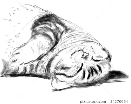 Cat illustration Cat illustration 34270664