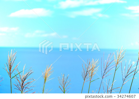 積丹藍 積丹藍 34274607