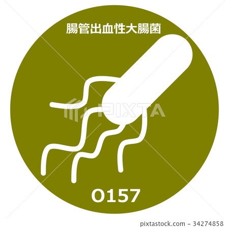 bacterium, virus, microorganism 34274858